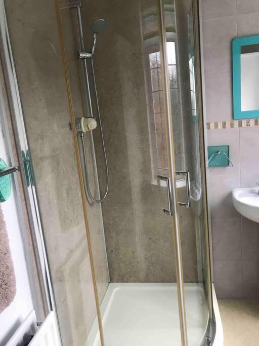 Brook Lodge Garden Flat スワネージ エクステリア 写真